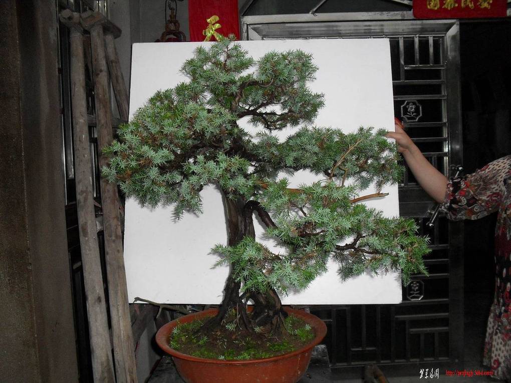 ������С SDC10715.jpg�̰�.jpg