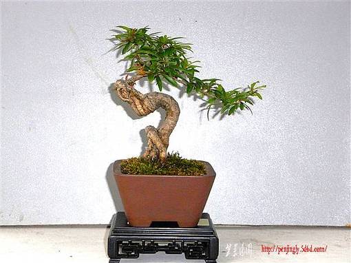 RIMG0356_.jpg