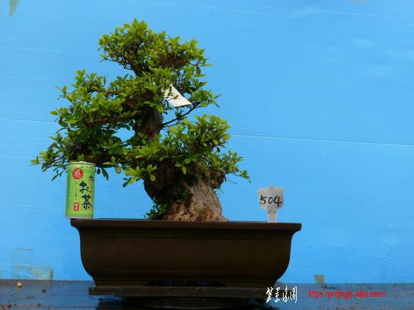 sekiya7777-img600x450-12727138233l4dvf41629.jpg