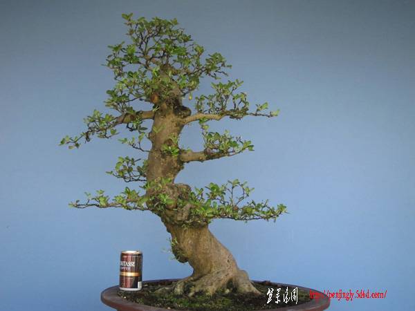 naoart719-img600x450-1277709306jumptd5090.jpg