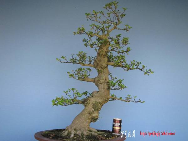 naoart719-img600x450-1277709306plaeuw5090.jpg