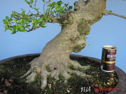 naoart719-img600x450-1277709306uho5pa5090.jpg