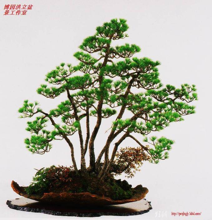 Ƭ 024.jpg