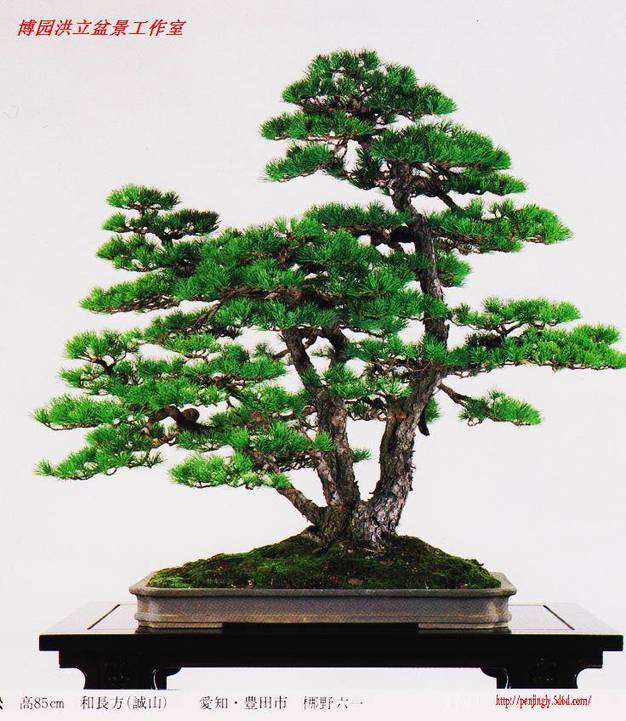 Ƭ 027.jpg