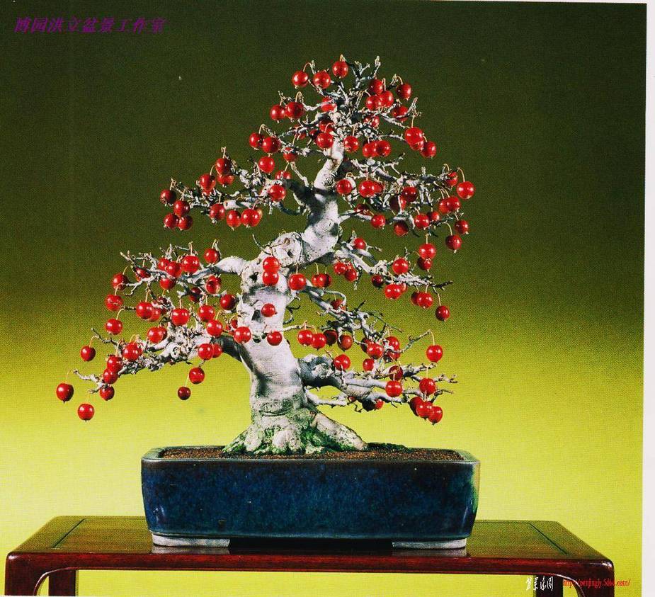 Ƭ 004.jpg