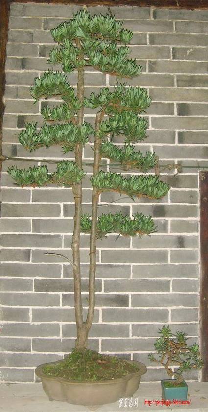 SNV34415.jpg