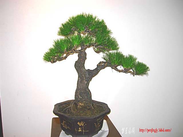 DSCN7249.JPG