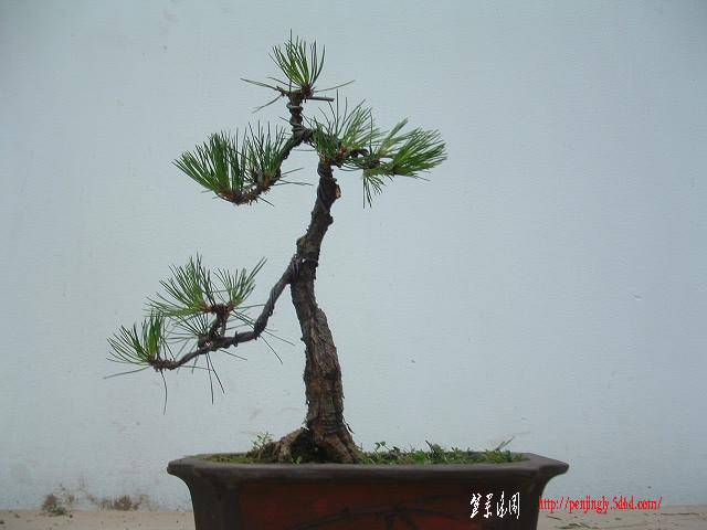 DSCF0430.JPG