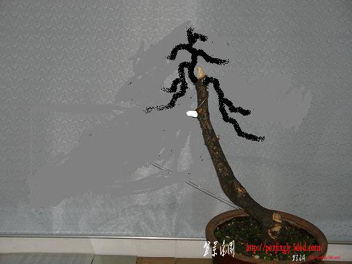 1007052245af941e5993c2b57d.jpg
