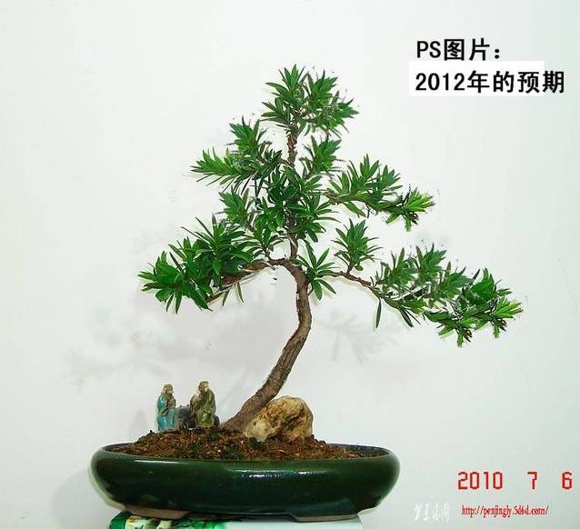 dsc03515-3.jpg