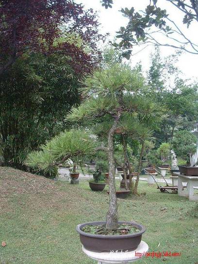 DSCF0362.JPG