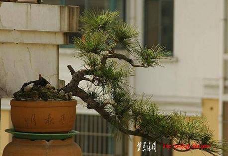 1007060904925946ab9bed15b8.jpg