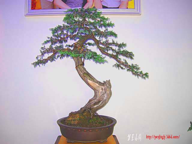 DSCN7260.JPG