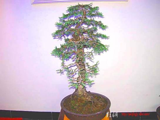 DSCN7268.JPG