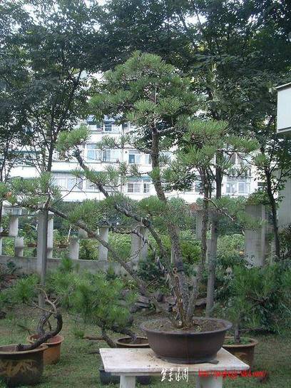 DSCF0368.JPG