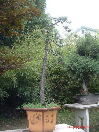 DSCF0383.JPG