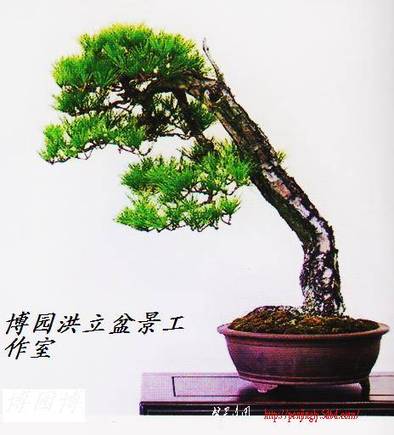 Ƭ 016.jpg