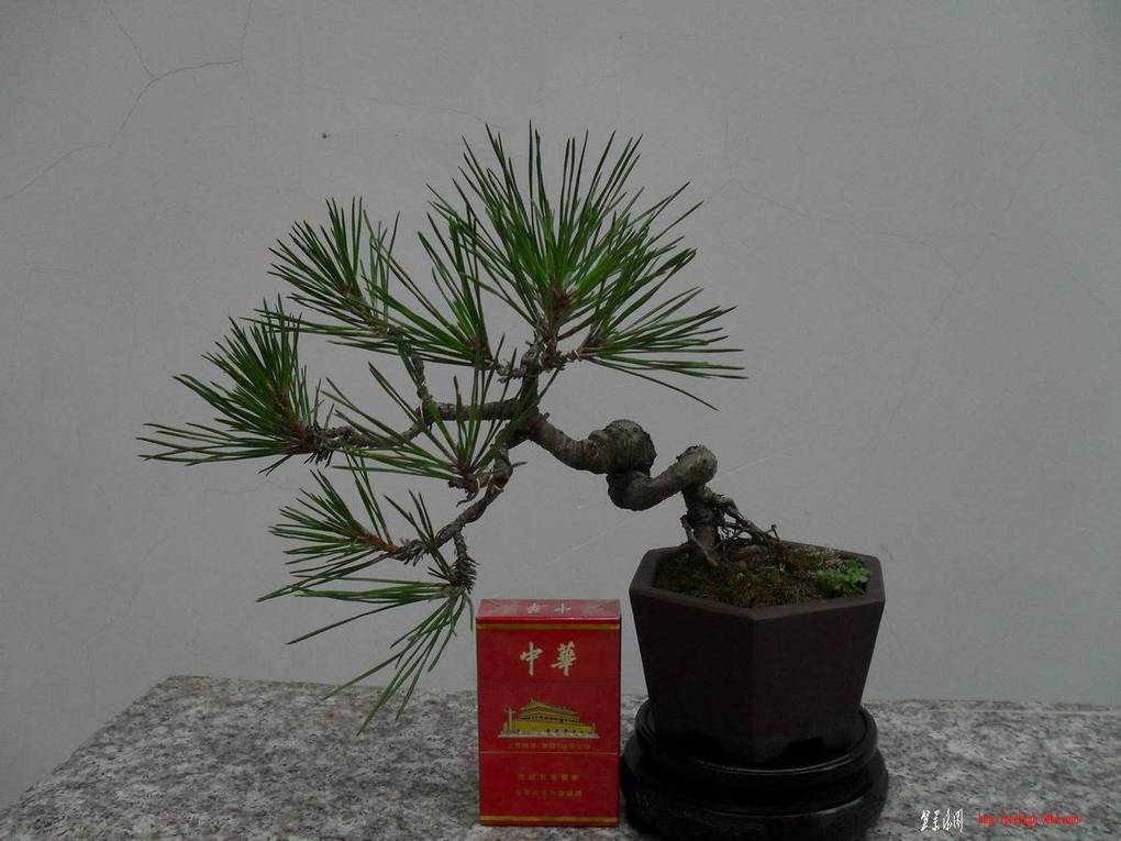 С SDC10733.jpg
