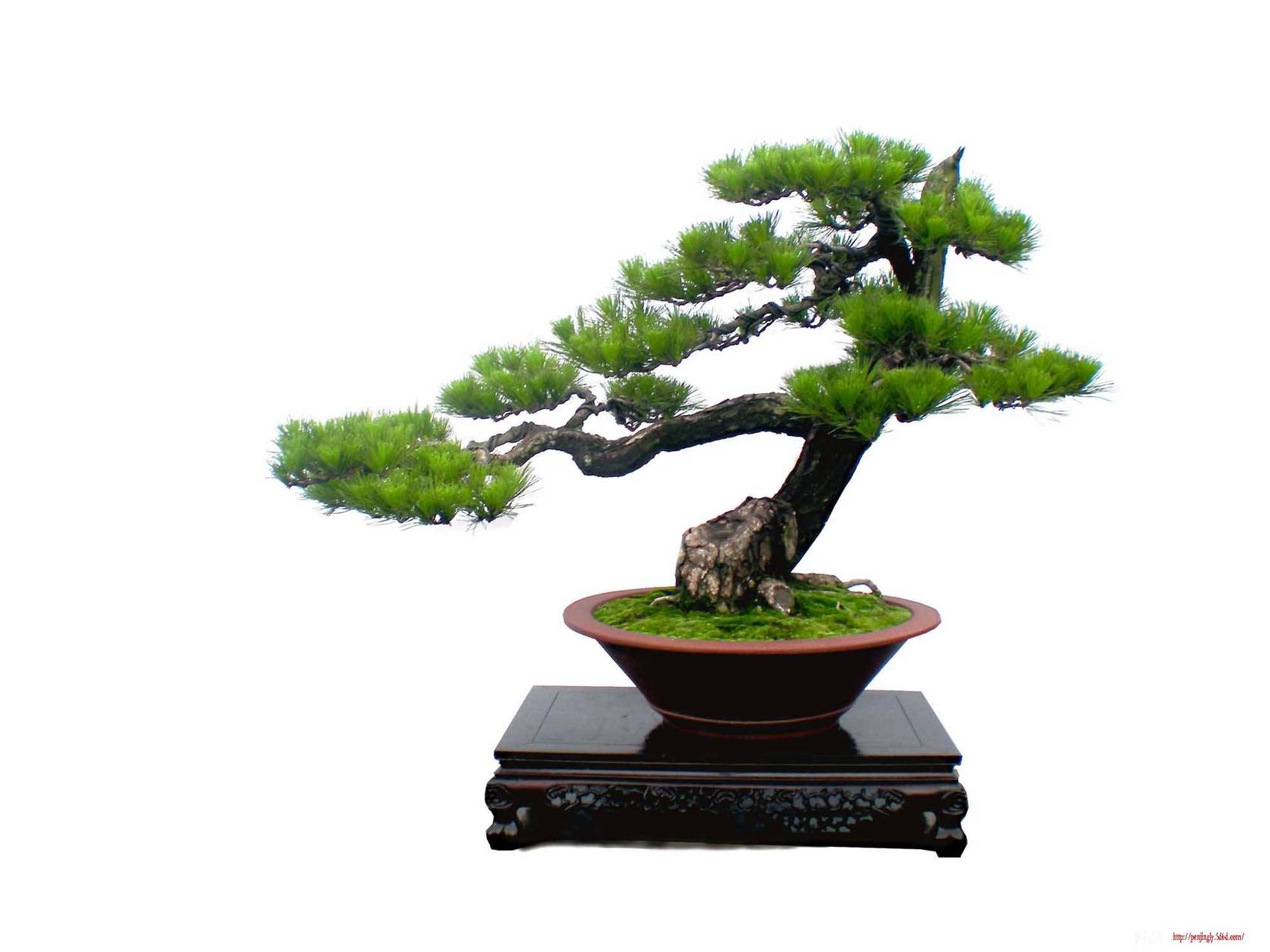 DSCN2729 ����.jpg