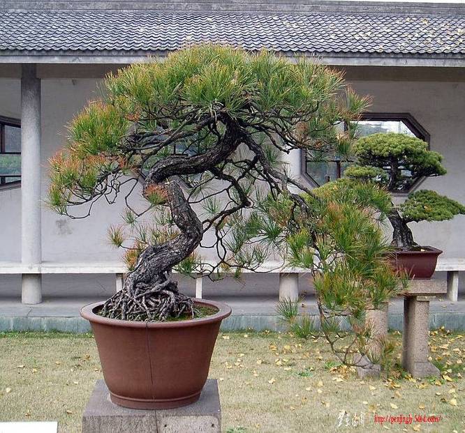 114j7yLdWp.jpg