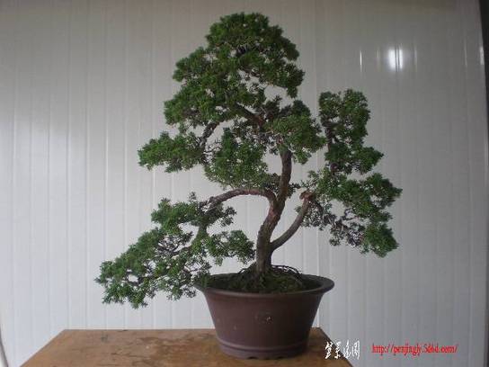 �ҵ��� 002.jpg