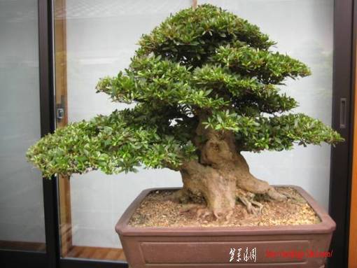 takaen1122-img600x450-1278974241dxcl8w95357.jpg