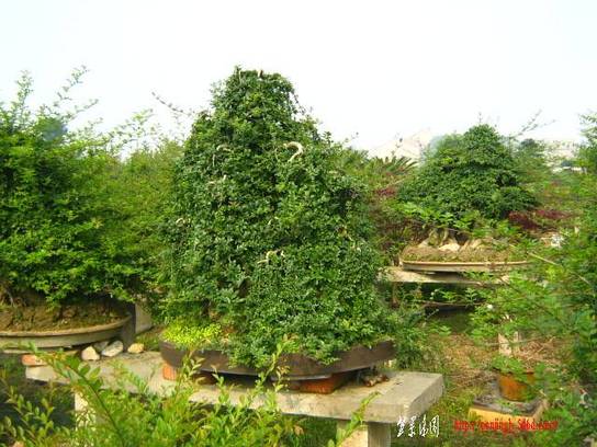 ԰ 070.jpg