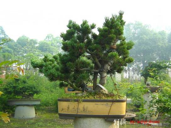 ԰ 019.jpg
