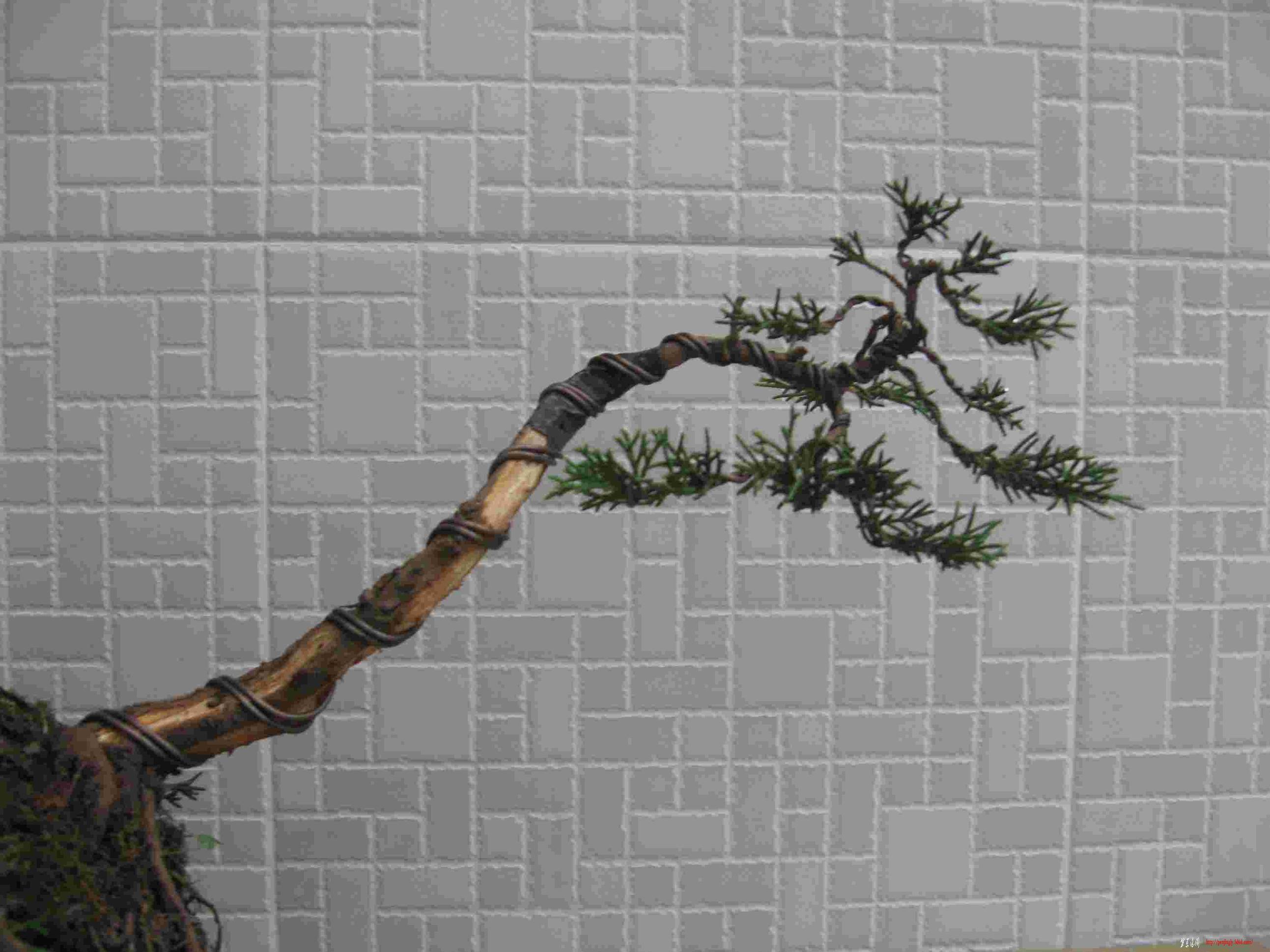 Ƭ 040.jpg