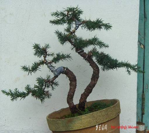 �����������ĥ�����쾹����٪��