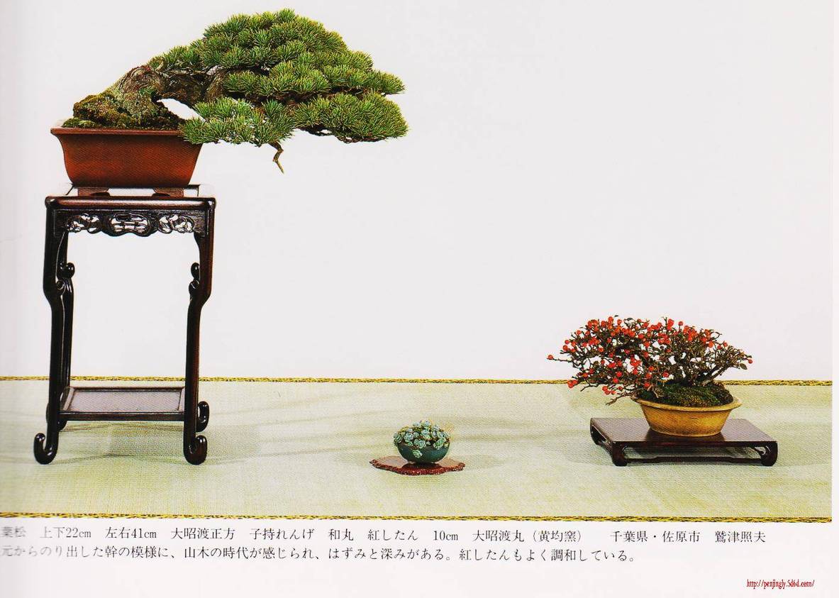 Ƭ 019.jpg
