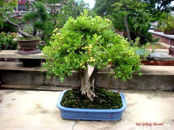 DSCN2735.JPG