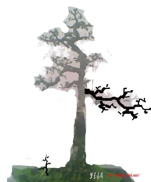 IMG0911A1.jpg