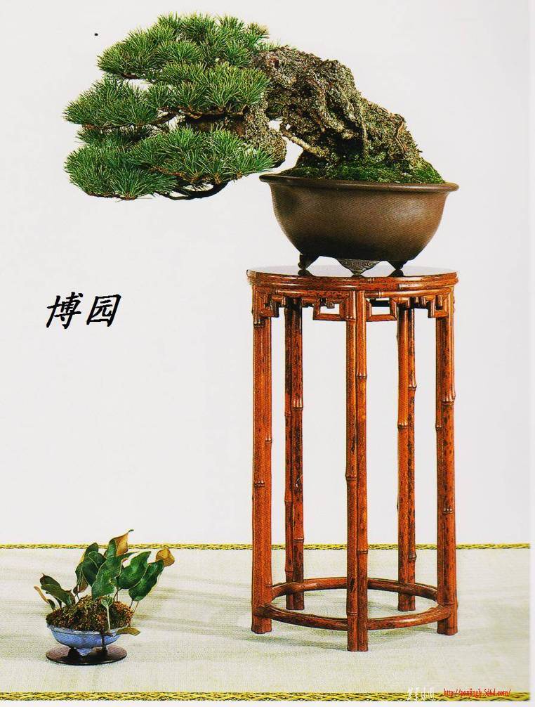 Ƭ 014.jpg