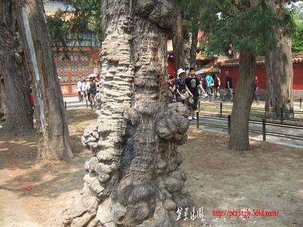 DSCF5048.JPG