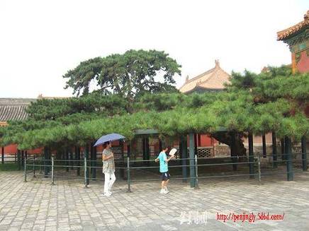 DSCF4942.JPG