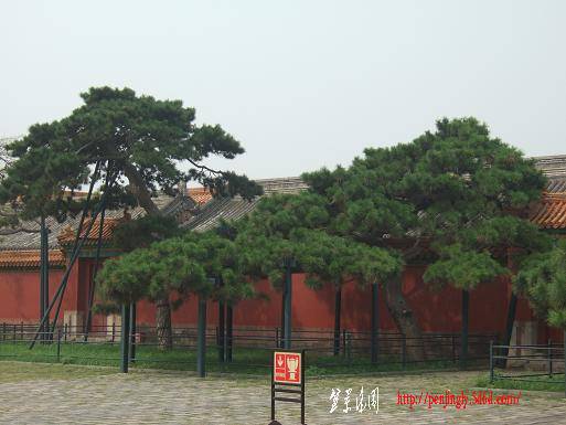 DSCF4946.JPG