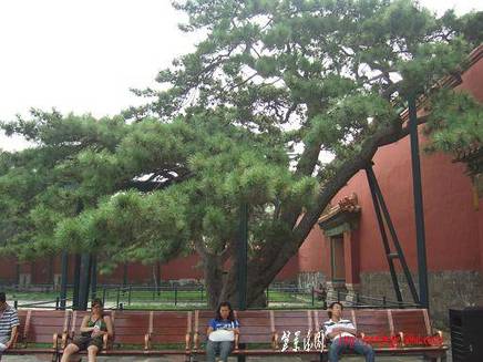 DSCF4941.JPG