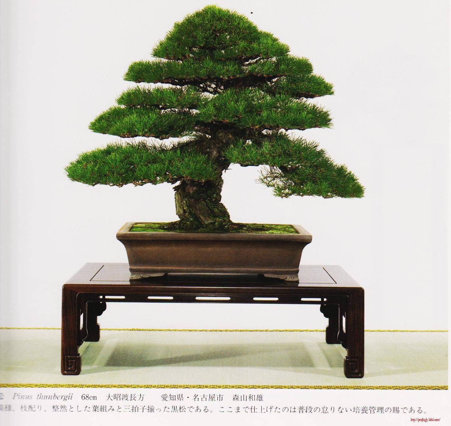 Ƭ 009.jpg