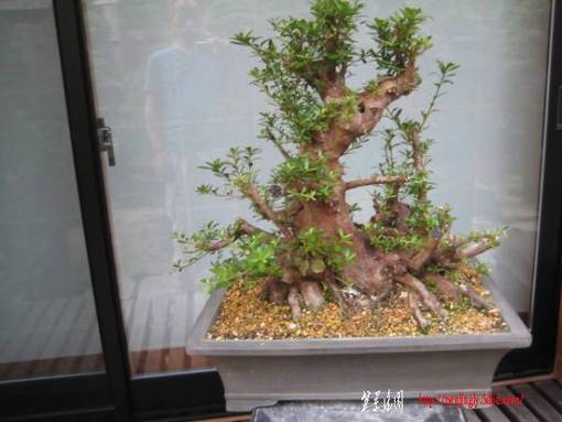 takaen1122-img600x450-1280489141rm4cfk57266.jpg