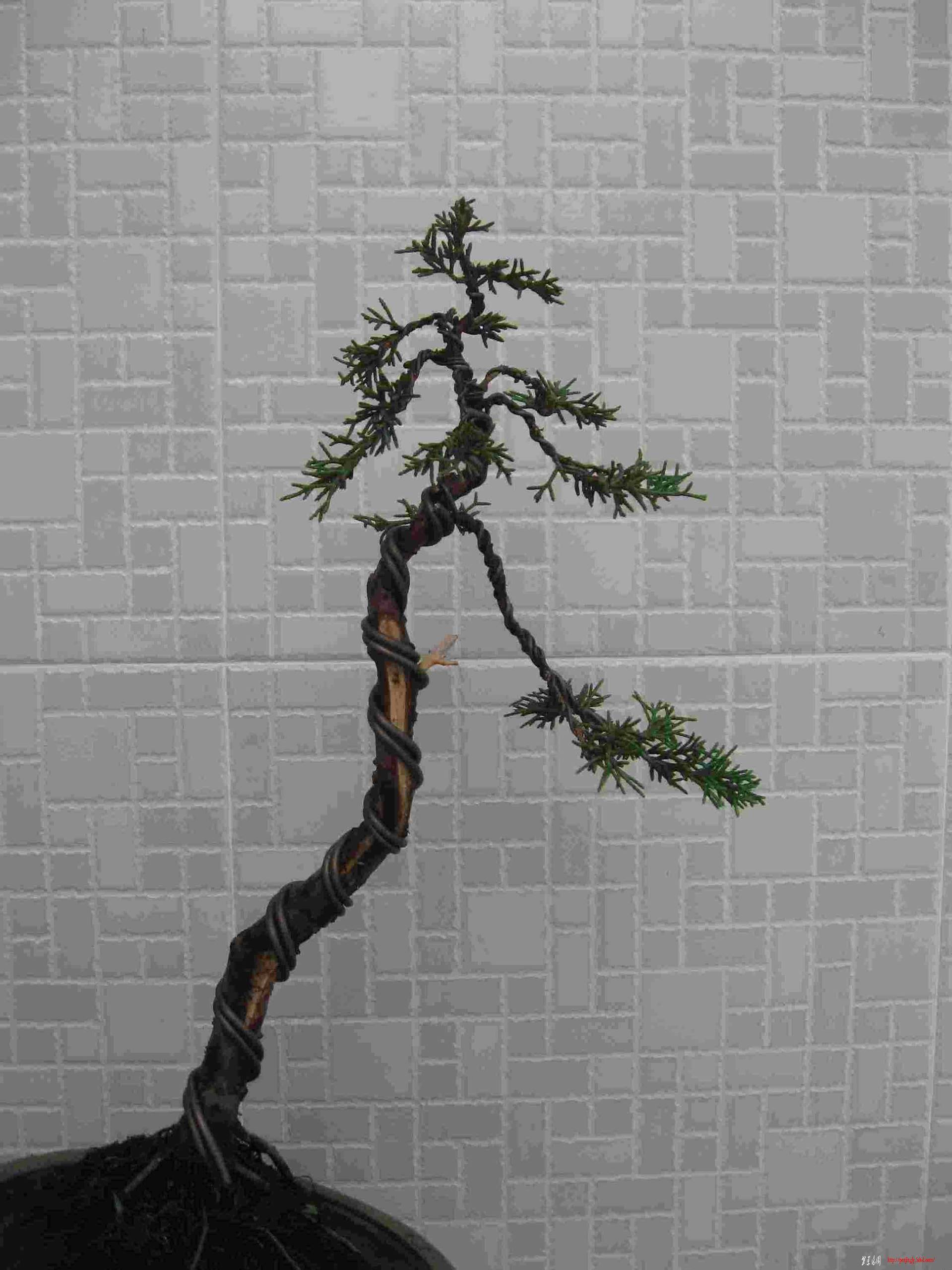 Ƭ 096.jpg