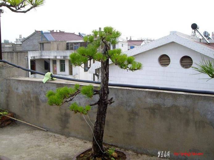 16.JPG