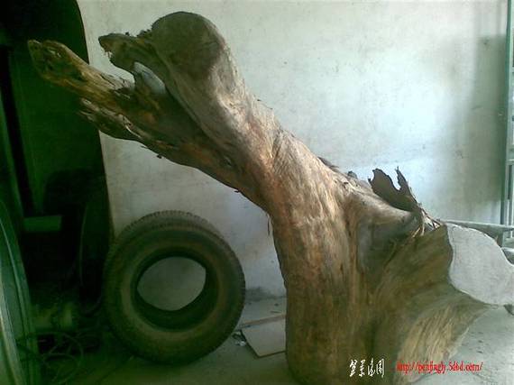 16.jpg