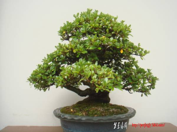 ngrtyuiop00-img600x450-12815581801hn42t57765.jpg