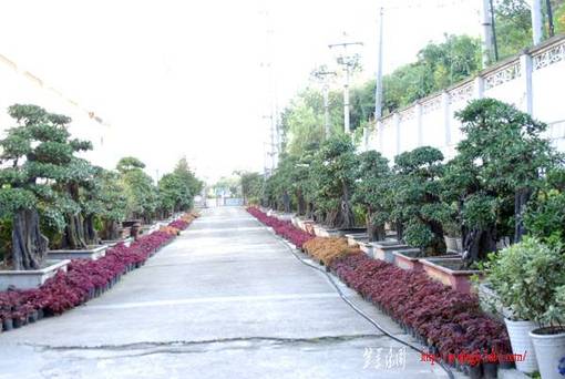118.jpg