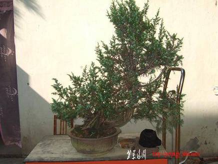 DSCF5250.JPG