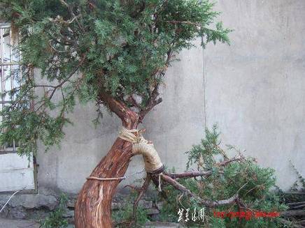 DSCF5238.JPG