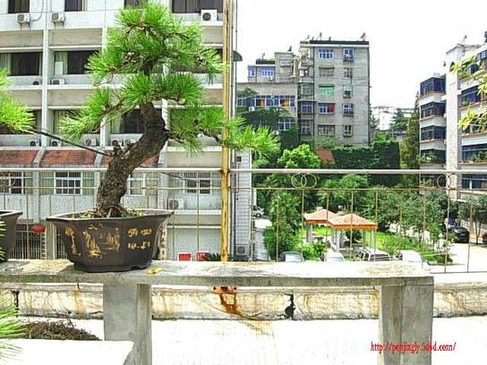 DSCN7495.JPG