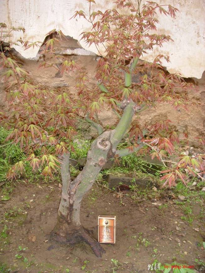 SDC11302.JPG