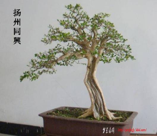 P1010857.JPG